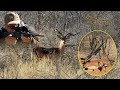 Hunting Atypical Impala - Namibia 2021