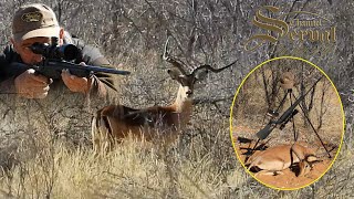 Hunting Atypical Impala - Namibia 2021
