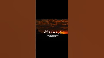 تلاوة خاشعة  بصوت يأسر القلوب #quran #اكسبلور #ramadan  #flowers  #القرآن_الكريم #لايك #راحة_نفسية