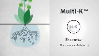 Multi-K - The Ultimate Source Of Potassium