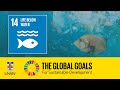 Sustainable Development Goal 14 - Life Below Water - Tracey Rogers