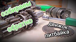 Pitbike engine assembly