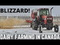 A Mean Blizzard Hit The Farm!