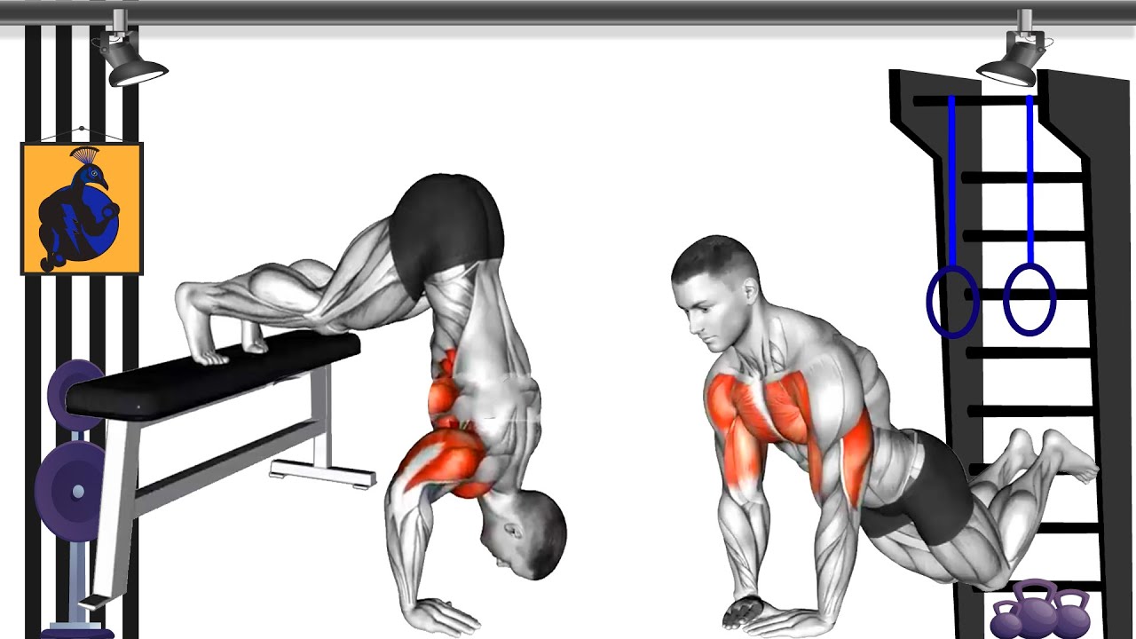 Try these Best 15 Push up Variations ( Beginner to Advanced ) | The ...
