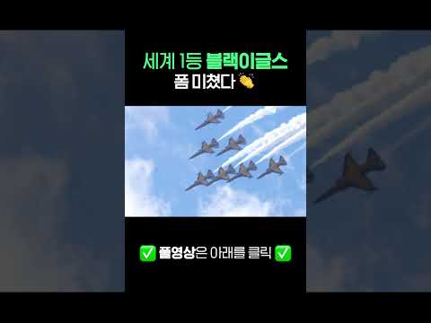 세계 1등 블랙이글스 in <strong>서울</strong> ADEX 2023 | 대한민국 국방부