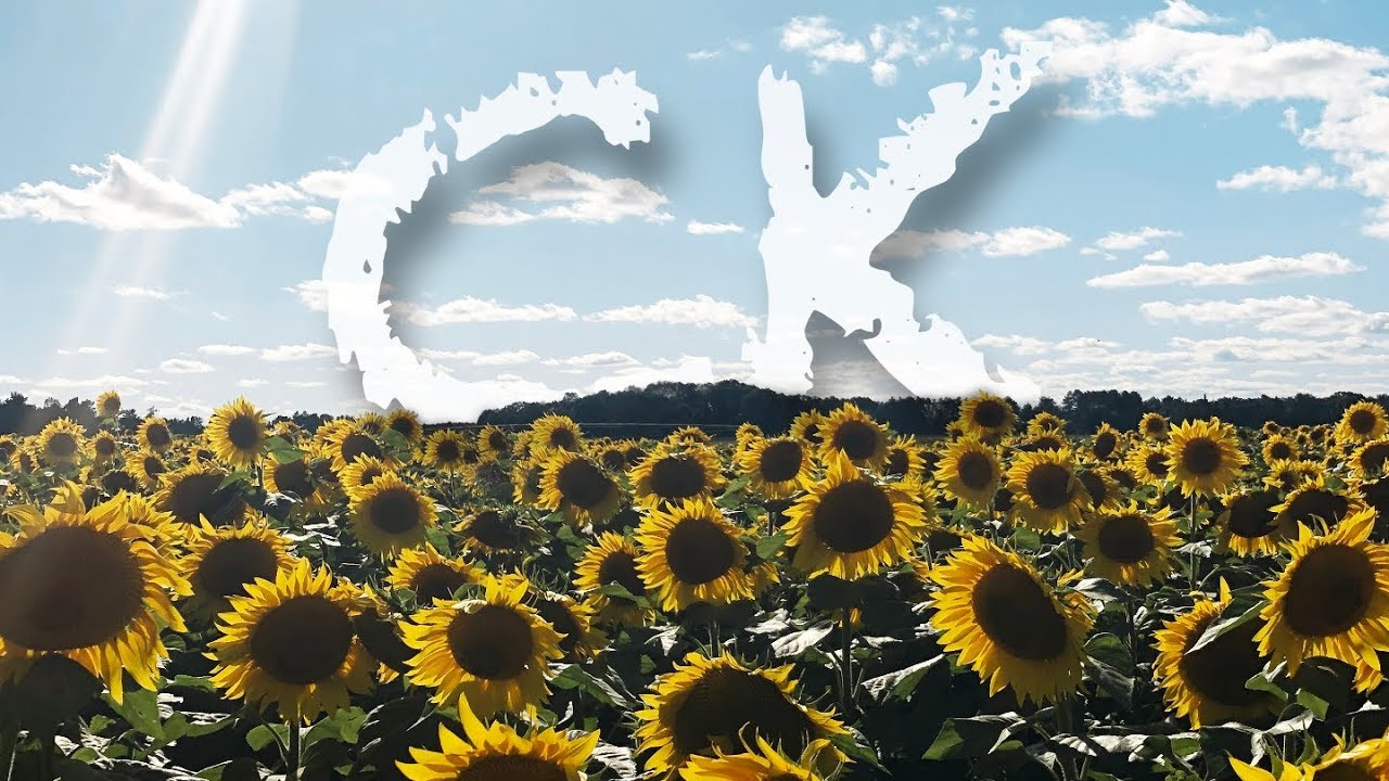 ck sunflower tours