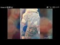 يلي ابو جود القلب ودقاتو 