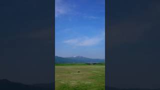 ラングスの大型木製ブーメラン アルバトロスを投げる。