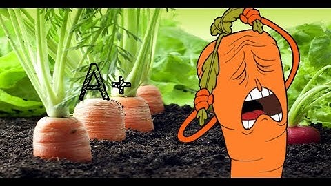 Cuphead: Botanic Panic A+