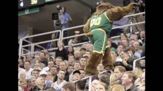 A Tribute to the Utah Jazz Bear