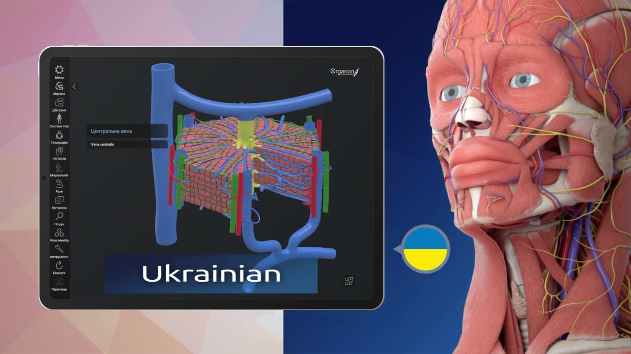 3D ORGANON | The Leading XR Medical Anatomy Platform: Sản phẩm này là nền tảng dẫn đầu trong lĩnh vực bác sĩ, chuyên gia y tế và giáo dục về giải phẫu 3D. Đây chắc chắn là một công cụ tuyệt vời cho việc giảng dạy, tìm hiểu về cơ thể con người. Hãy xem ảnh để thấy được sự chân thật và chi tiết nhất của sản phẩm.