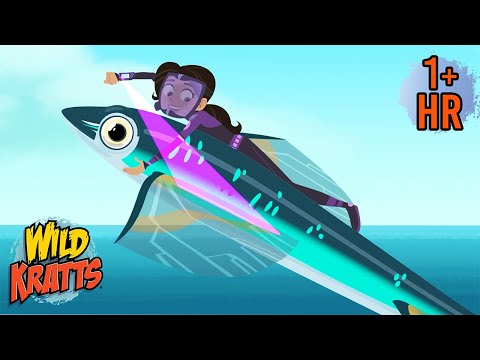 Flying Fish!!?? 😲🦈 | NEW | Cartoons for Kids | Wild Kratts | Scholastic Kids
