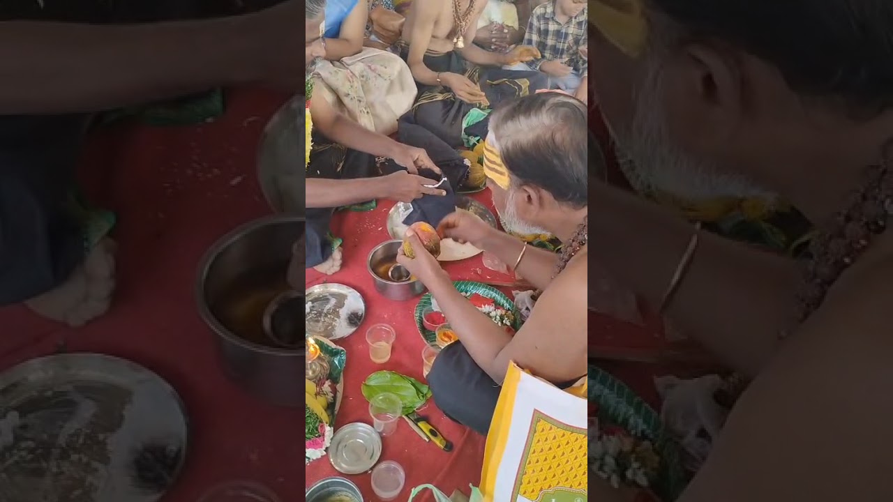 Mama swamy irumudi🙏🙏