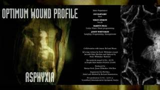 OPTIMUM WOUND PROFILE Lowest Common Dominator [Full Album]