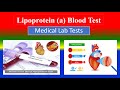 Lipoprotein a blood test   medical  lab tests  what is  uses need preparation  results