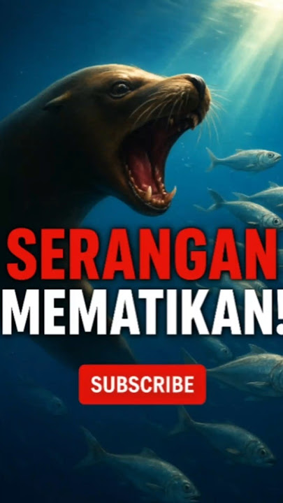 Serangan Cepat Anjing Laut! Mangsa Tak Sempat Kabur