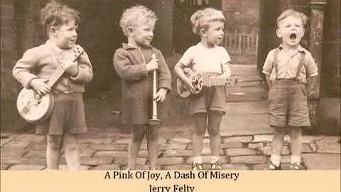A Pink Of Joy, A Dash Of Misery   Jerry Felty
