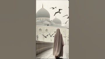 #القرآن_الكريم #التراويح #تلاوة_خاشعة #تلاوات