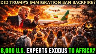 Did Trumps Immigration Ban Backfire 8000 Us Experts Exodus To Africa