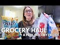 GROCERY HAUL + WHAT'S IN MY FRIDGE | Katie Carney