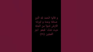 سورة الزمر (١) ليلة ٢٠ صلاة التراويح