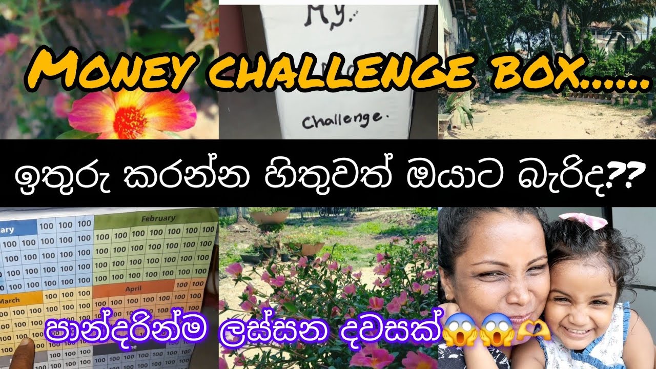 පාන්දරින්ම අවදිවන කාන්තාවට විදින්න දේවල් ගොඩයි🎁කොච්චර හිතුවත් ඉතුරු කරන්න බැරිද ඔයාට?#money #seving#