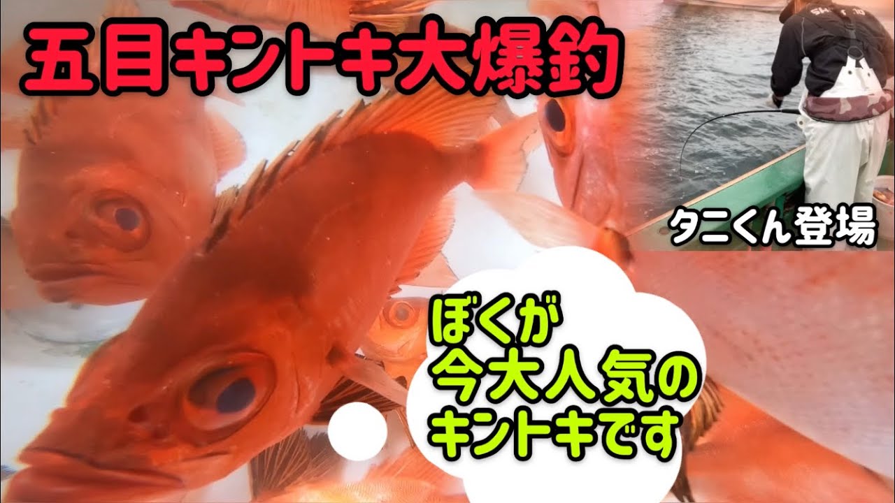 秘技 連キントキ 21年6月13日釣果報告 Youtube