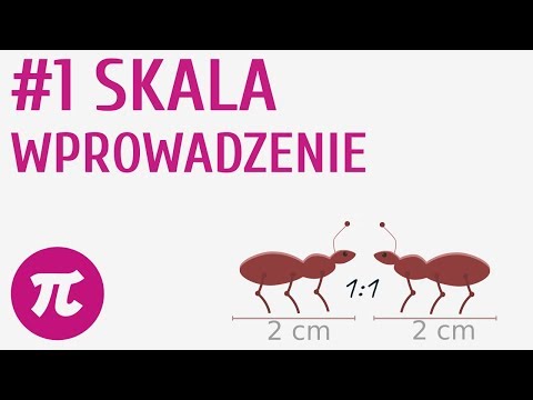 Wideo: Jak używać skali 1 50?