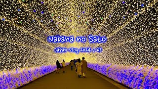 Nabana no Sato in Spring | Cherry blossoms & illuminations | Japan Vlog