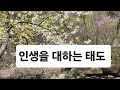 들을수록 운명이 좋아지는 진리의 말씀 ㅣ인생을 대하는 태도 ㅣ일지이승헌 ㅣ내가나를낳는다