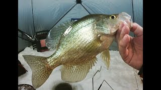 JT Panfish Snare review while Smashing Crappies