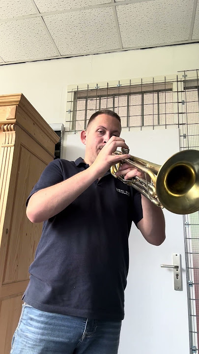 FOR SALE: Rino / Johannes Scherzer TARV Eb Bass Trumpet