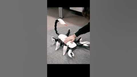Introducing the Future of Robotics: Meet Scrapio Hexapod Robot #shorts #robotics #robot
