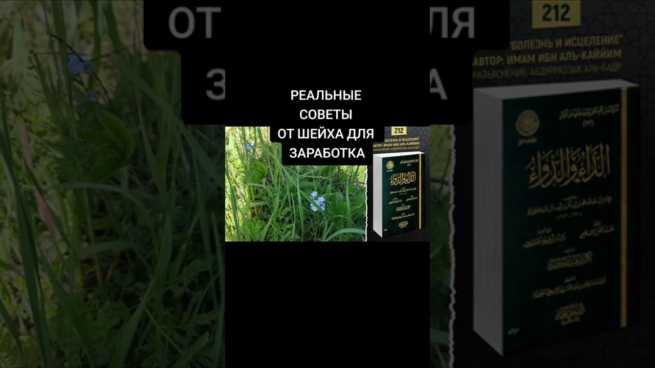2 марта 2026 г. РЕАЛЬНЫЕ СОВЕТЫ ОТ ШЕЙХА ДЛЯ ЗАРАБОТКА 