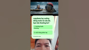 capybara lao xuống dòng lũ cứu bà... #capybara #funny