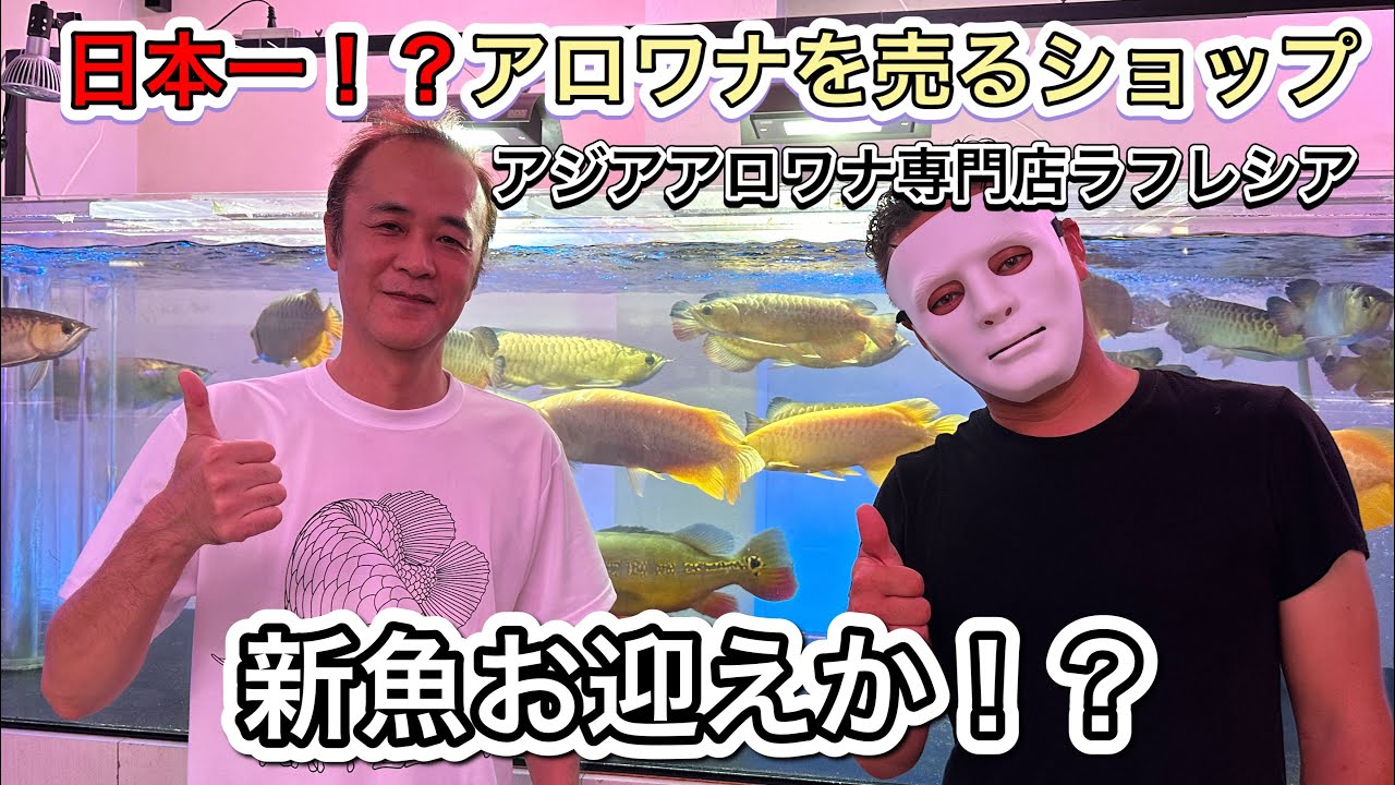 アロワナ 専門 店