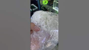 Cách làm lành đuôi cá khi bị rách