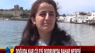 DOĞUDA KAR ÇİLESİ BODRUM DA BAHAR NEŞESİ