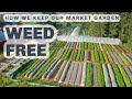 Weed free market gardening our no dig approach