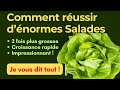 Jardin potager comment russir  cultiver dnormes salades en agriculture biologique