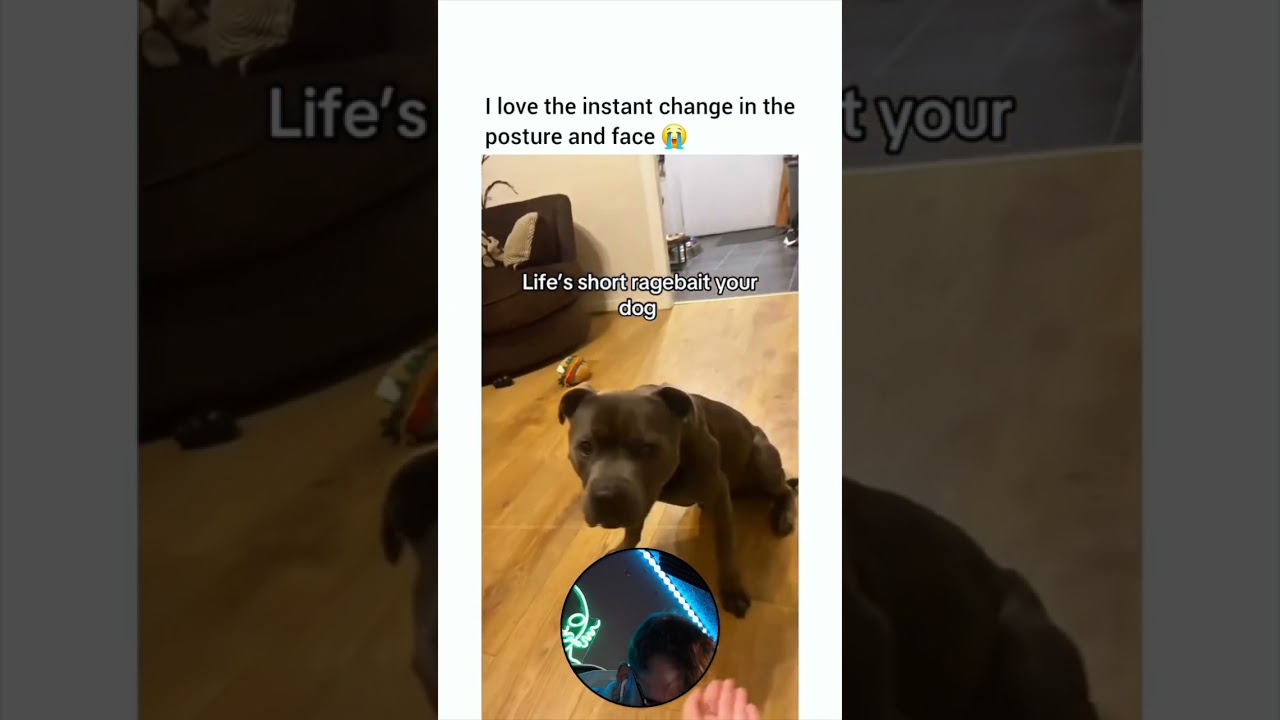 Обожаю мгновенную перемену в осанке и выражении лица 😳✨