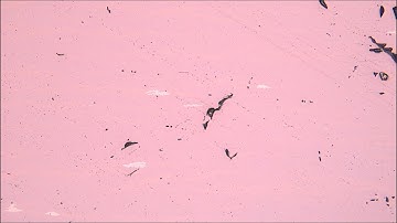 Troilite Exsolution in Pyrrhotite (Reflected Light)