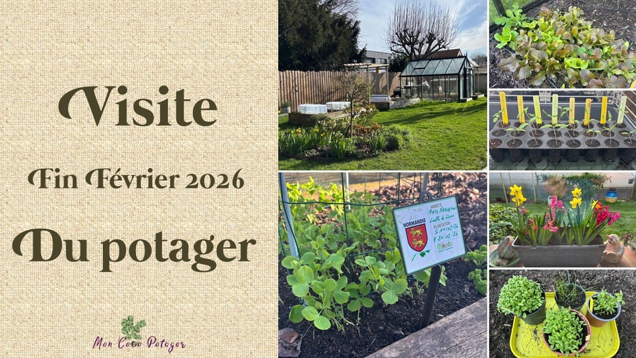 Visite du potager à fin février 2026 et l'aide surprise d'un jeune abonné !