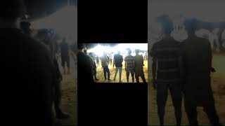 Visiting cow mandi (11d And Jdc)