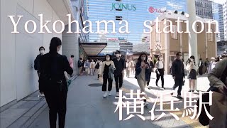 Take a walk around Yokohama Station/横浜駅周辺を散歩