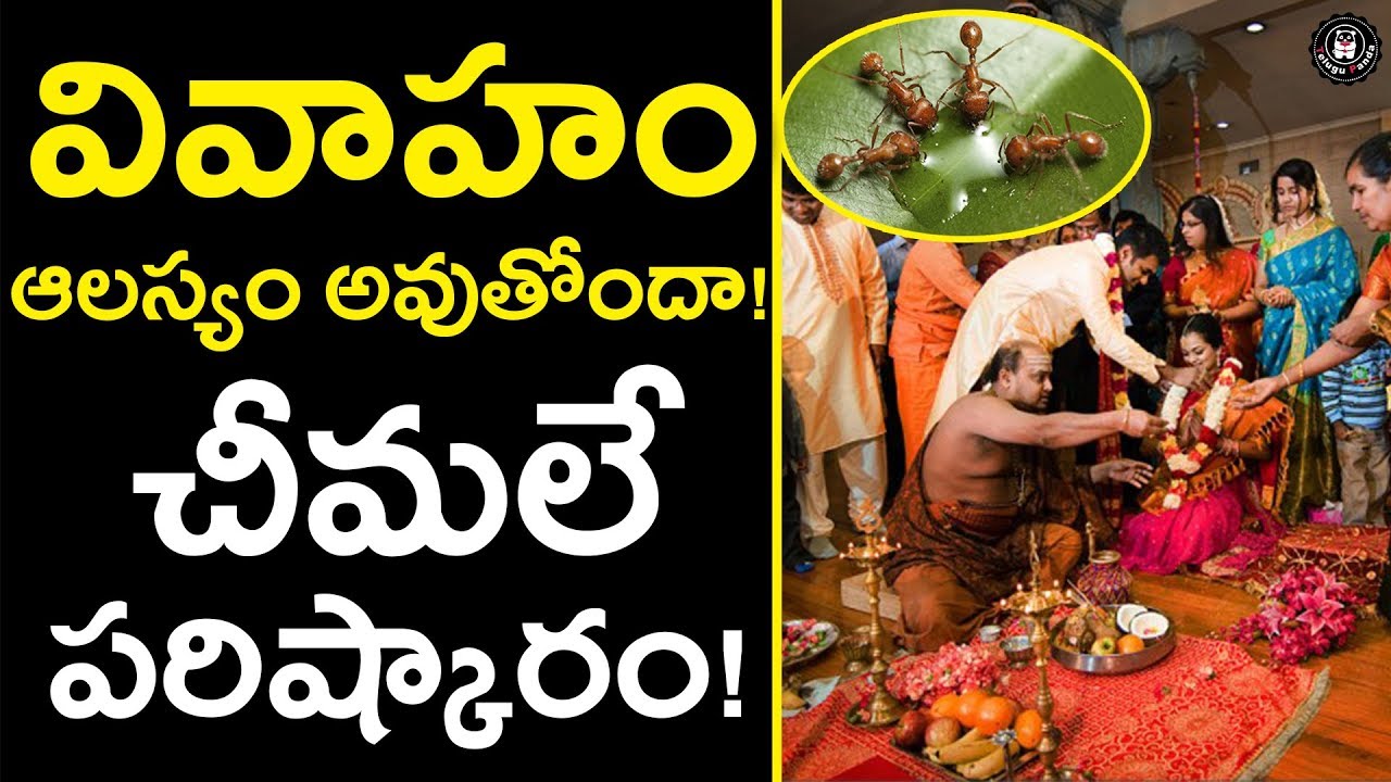 TIPS To Get Married |  Follow These Simple Tips To Get Married Soon | Telugu Panda