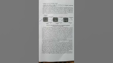 AECC EVS Previous year questions || unit 2 || DU semester exam|| #du #ytshorts #shorts