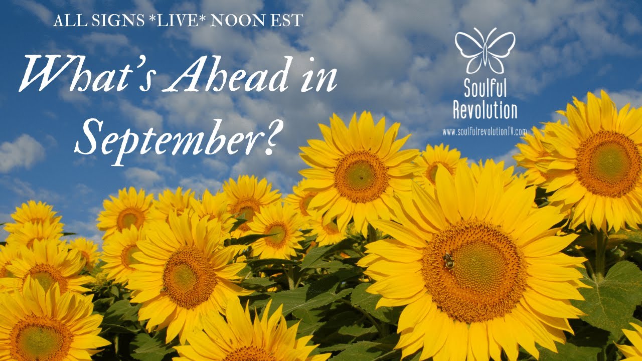 SEPTEMBER 2021 Tarot *Sneak Peek* What's Next? ALL Signs Tarot Reading