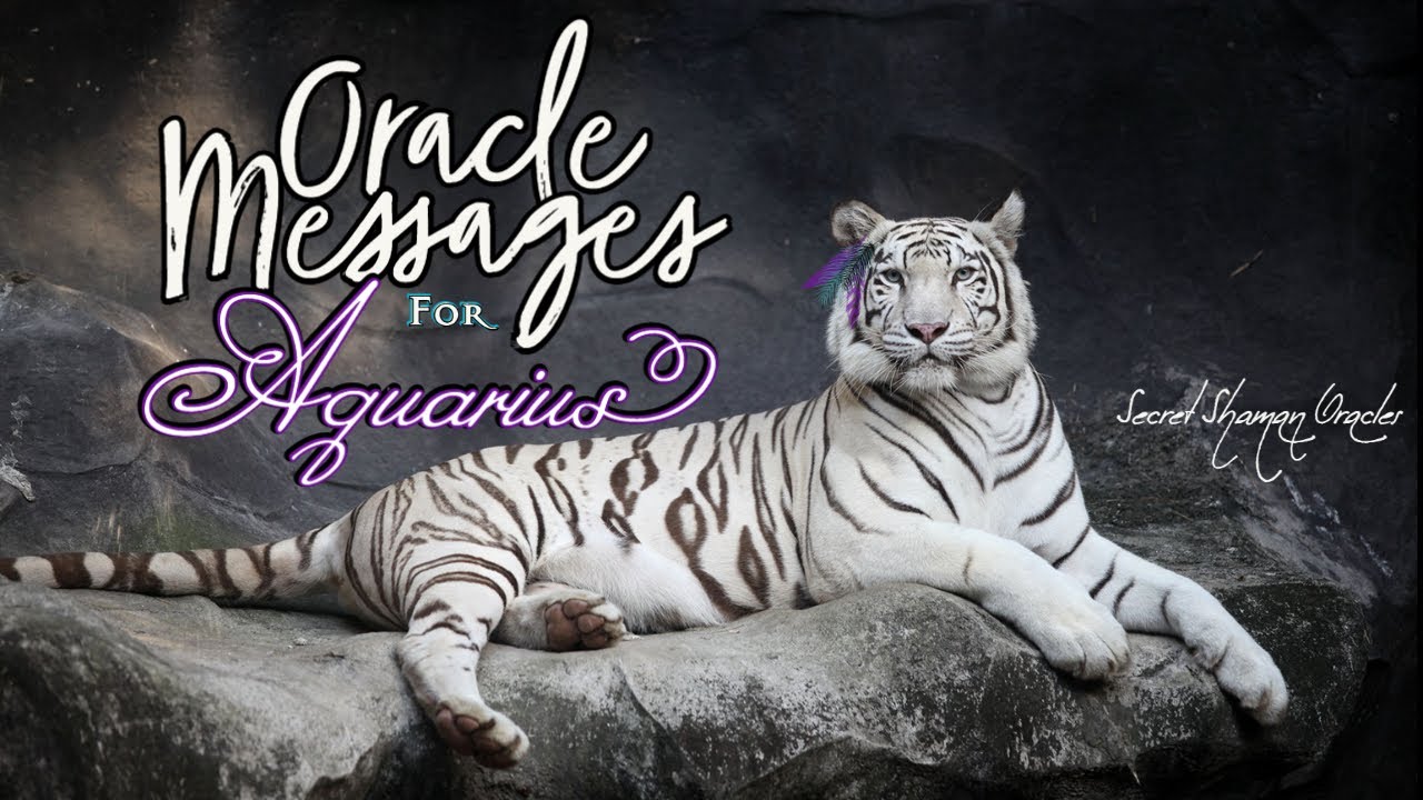 Aquarius- Your Destiny Is Seeking You- Trust The Unknown, It Brings Prosperity & A Harmonious  Union