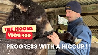 Meet the Real Wonky Donkey